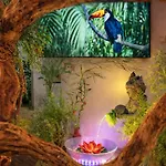 Jungle - Cocon Tropical Et Romantique Avec Balneo En Plein Coeur De !