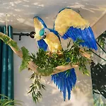 Jungle - Cocon Tropical Et Romantique Avec Balneo En Plein Coeur De ! Lejlighed Pézenas