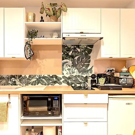 Apartment Jungle - Cocon Romantique Et Tropical Avec Jacuzzi Prive !