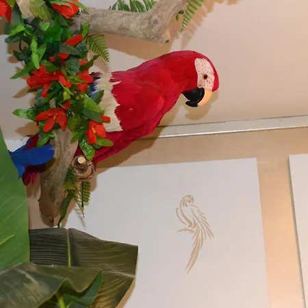 Apartment Jungle - Cocon Romantique Et Tropical Avec Jacuzzi Prive ! Pezenas