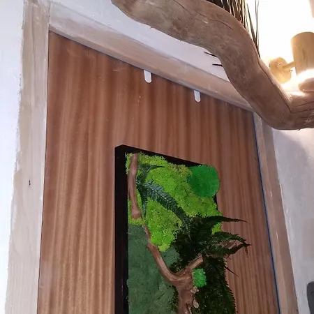 Jungle - Cocon Romantique Et Tropical Avec Jacuzzi Prive ! Apartment
