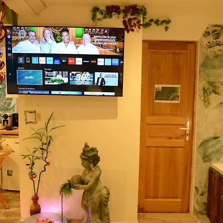 Jungle - Cocon Romantique Et Tropical Avec Jacuzzi Prive ! Apartment *