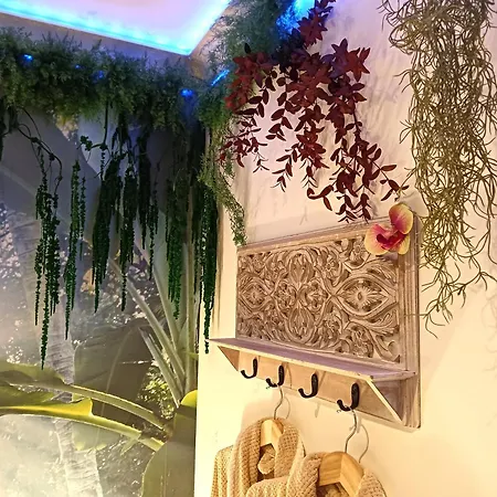 Apartment Jungle - Cocon Romantique Et Tropical Avec Jacuzzi Prive ! Pezenas