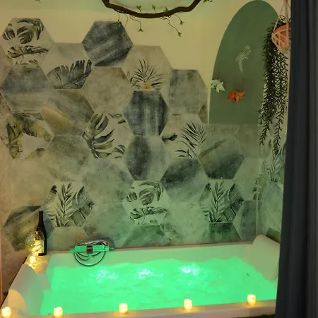 Jungle - Cocon Tropical Et Depaysant Avec Balneo En Plein Coeur De ! *