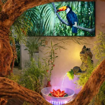 Jungle - Cocon Tropical Et Romantique Avec Balneo En Plein Coeur De !