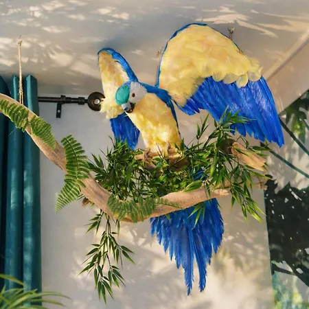Jungle - Cocon Tropical Et Romantique Avec Balneo En Plein Coeur De ! Daire Pézenas