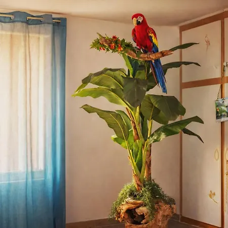Daire Jungle - Cocon Tropical Et Romantique Avec Balneo En Plein Coeur De ! *