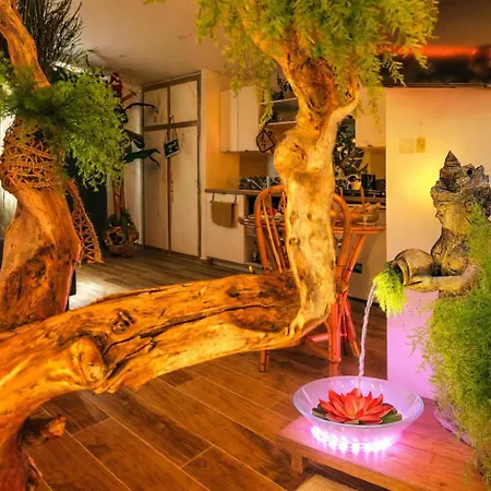 Jungle - Cocon Tropical Et Romantique Avec Balneo En Plein Coeur De ! Apartamento Pézenas