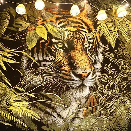 Jungle - Cocon Tropical Et Romantique Avec Balneo En Plein Coeur De ! Pézenas