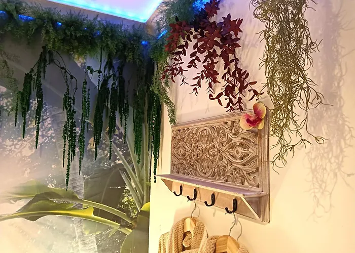 Апартаменты Jungle - Cocon Tropical Et Romantique Avec Balneo En Plein Coeur De ! Пезенас