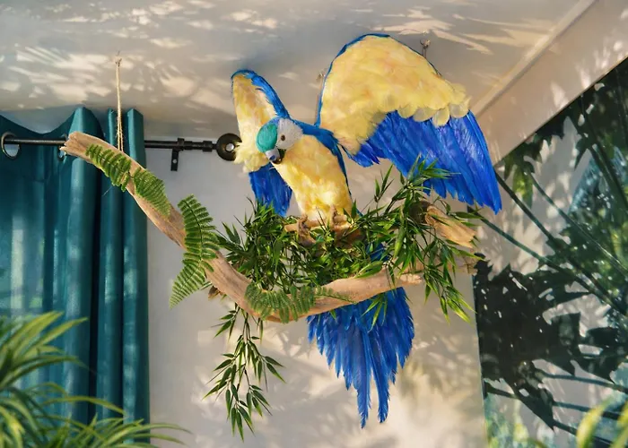 Jungle - Cocon Tropical Et Romantique Avec Balneo En Plein Coeur De ! Апартаменты Пезенас