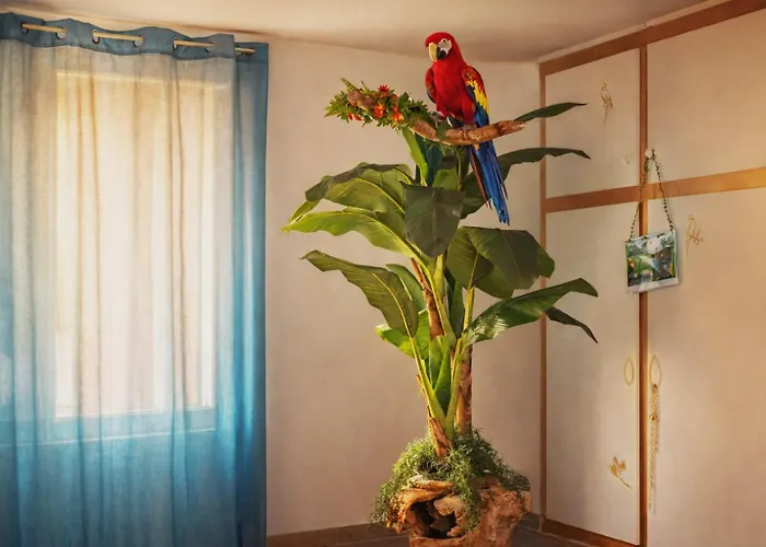 Апартаменты Jungle - Cocon Tropical Et Romantique Avec Balneo En Plein Coeur De ! *