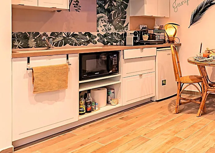 Apartamento Jungle - Cocon Tropical Et Depaysant Avec Balneo En Plein Coeur De !